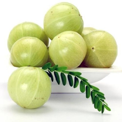 Organic Fresh Amla